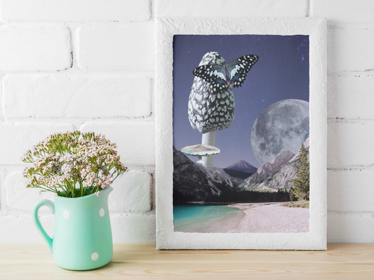 Hidden Lake Collage Poster